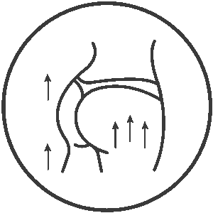 This photo showcases the InfraBurn device, one of Body Space®'s advanced cardio technologies powered by InfraRed heat therapy. Captured at a professional Body Space® partner studio, the setup highlights our partner's commitment to delivering innovative fat-burning, detox, and recovery solutions. Designed for high efficiency, InfraBurn combines light-based biohacking with physical activity to enhance metabolism and body shaping results. An excellent example of how our partners implement smart wellness equipment to grow their business.